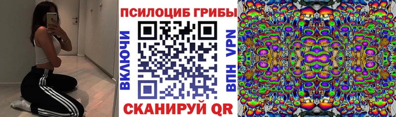 сколько стоит  Саров  Галлюциногенные грибы Cubensis 